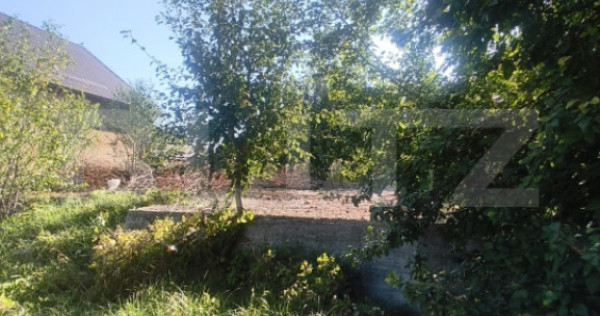 TEREN INTRAVILAN DE VANZARE - LUNCA MURESULUI 700 MP