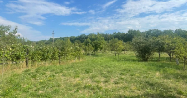 Teren intravilan, 25 ari, zona Tauti de Sus