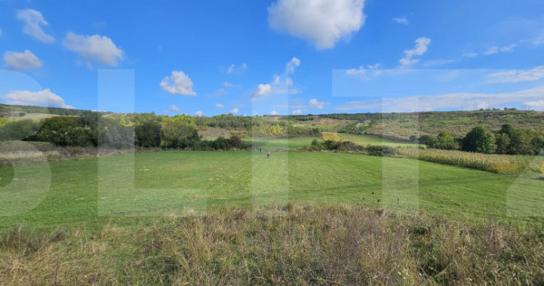 Teren extravilan, 4200 mp, zona Agafton