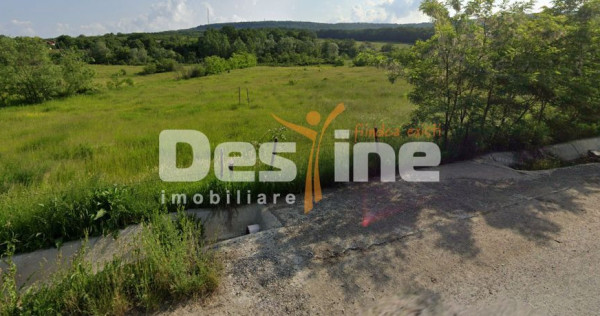Teren intravilan 8000mp, Comuna B&acirc;rnova Iași