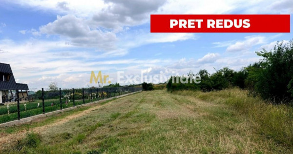 Teren de vanzare in Comuna Bradu &ndash; 1.374 mp | Deschider...