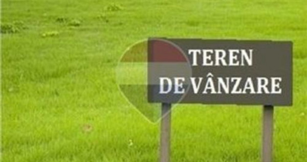 Teren intravilan de vanzare / loc de casa in Zerind 771 mp