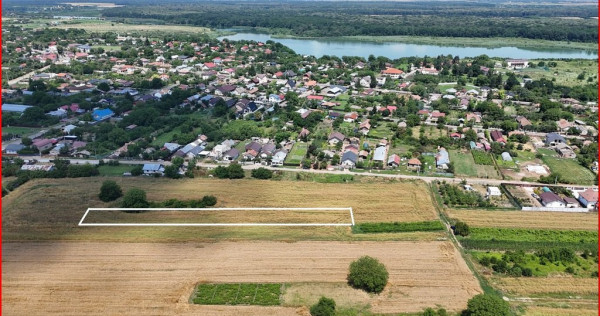 GRADISTEA, TEREN 2.000 MP!