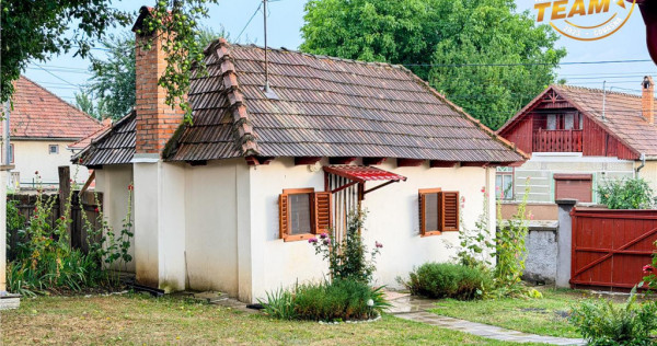 Casa cu teren generos de 1.315 mp, bucatarie de vara complet
