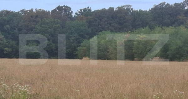Padure de vanzare, 0,75 hectare, zona Suta Seaca