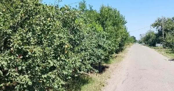 Vand casa locuibila Izvoarele