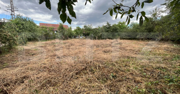 Casă cu teren intravilan de 1256 mp &icirc;n Dumbrava, județul