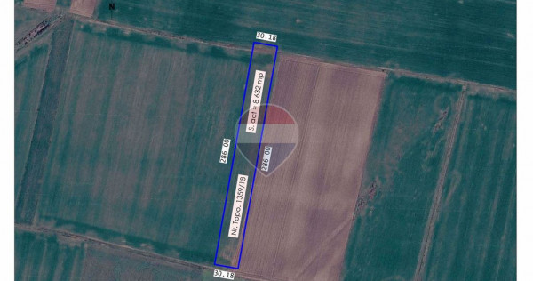 De v&acirc;nzare teren extravilan, &icirc;n Livada de Bihor