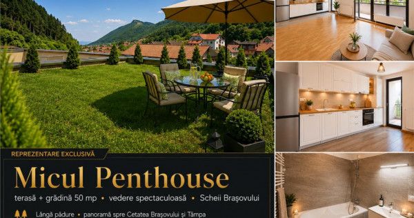 Priveliste de vis din MIcul Penthouse, terasa gradina 50 m