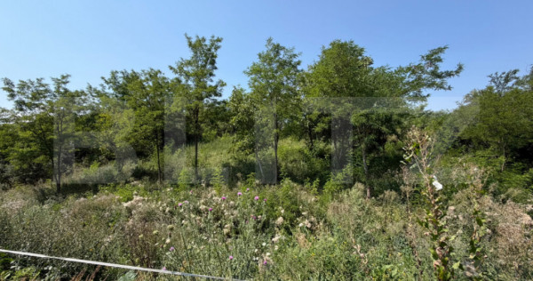 Teren intravilan, 1.748 mp, zona Crair&acirc;t