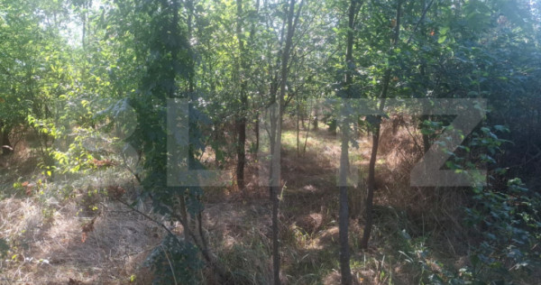 Teren extravilan de vaznare, 5000 mp, zona Matasaru