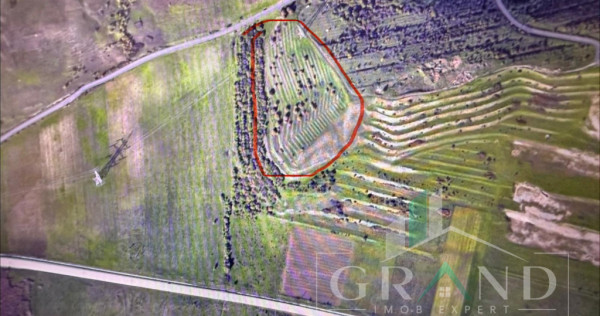 Teren cu suprafata 9100mp, zona Sub Coastă, Cluj-Napoca