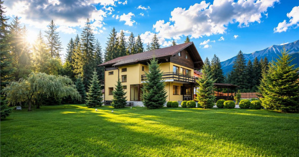 FILM!Resedinta cu farmec montan, domeniu de 1.700 mp,cadru s