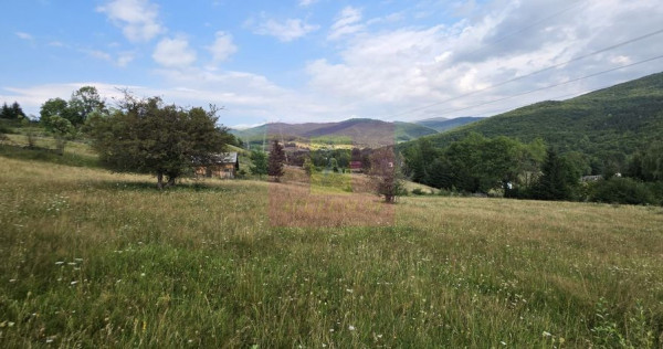 Teren intravilan de vanzare 3500 mp in Valea Doftanei