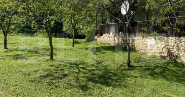 Oaza de liniste:Casa individuala cu livada roditorare si ter