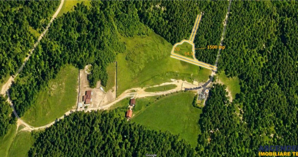 Incantator parc privat, 1.500mp: casa pensiune refugiu mon