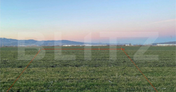 Teren agricol de vanzare, 5.000 mp, zona Sebes