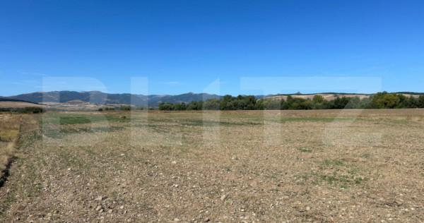 Teren agricol de vanzare, 5.000 mp, zona Barabant