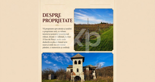Domeniu viticol 5,5 ha, Conac boieresc | Călinești, Argeș