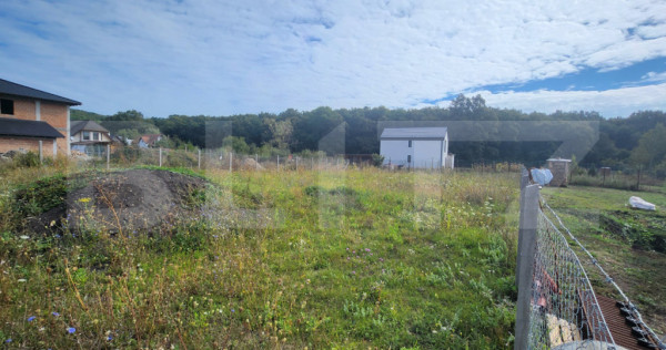 Teren intravilan, 615 mp, zona Valea iubirii