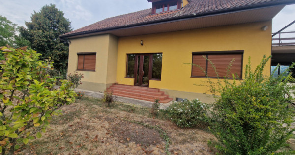 Casa individuala cocheta, Bazosul Nou