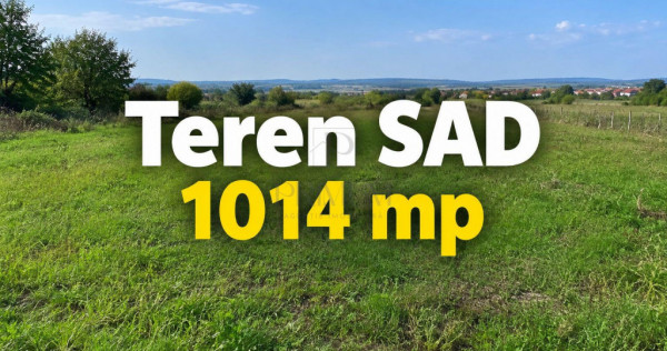 Teren - SAD - Mosnita Veche