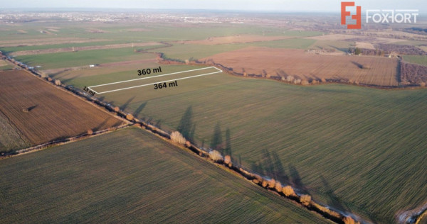 Teren extravilan arabil 4.803 mp - aproape de centura Timiso