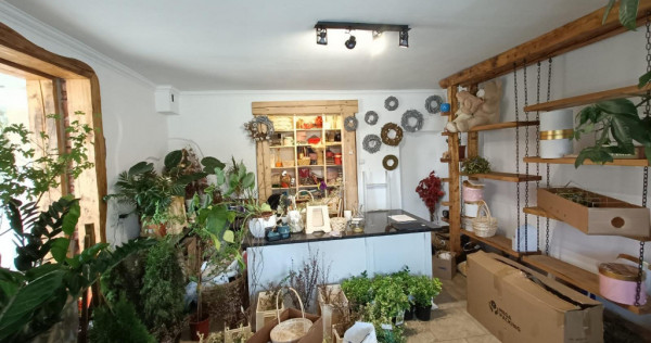 Inchiriere Spatiu comercial 2 incaperi; 35 mp; Avram Iancu