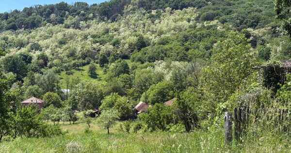 De vanzare: Teren 1000 mp intravilan in Bunesti - Malureni, Arges