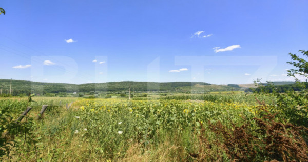 Teren intravilan/extravilan, 3150 mp, zona Schitu Duca