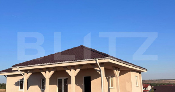 Casă individuală cu interior la roșu, teren 804 mp, Pișc