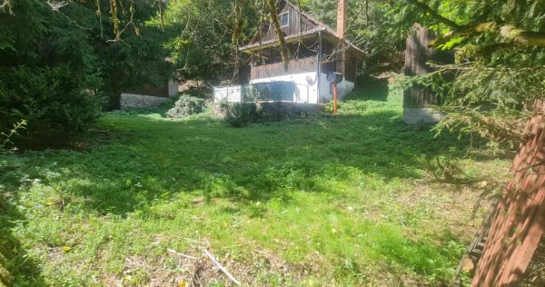 Vand cabana Baisoara Cluj