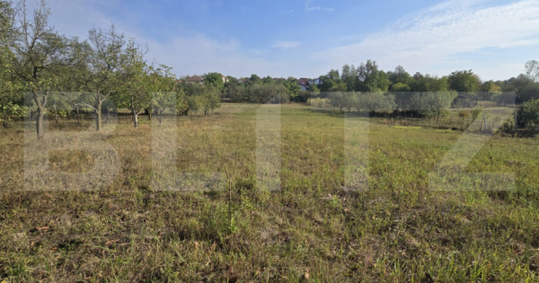 Teren intravilan, 1.439 mp, zona Viile - Satu Mare