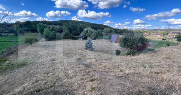 Teren intravilan, 3.805 mp, zona Soimeni