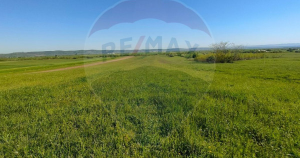 Teren de poveste &icirc;n Gura R&acirc;ului, zona Stejeret