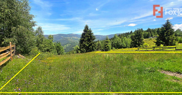 Teren de vanzare | 803 mp | Jud. Alba