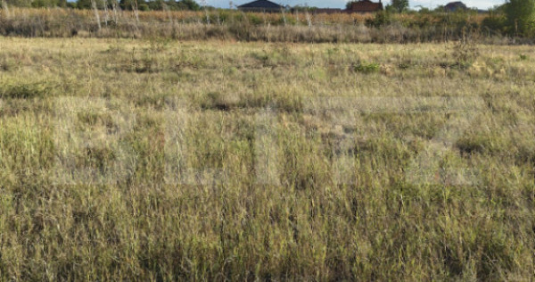 Teren extravilan, 500 mp, zona Careiului