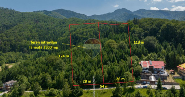 Teren intravilan, 3500 mp, D&acirc;mbu Morii