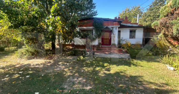 Casa, 199 mp utili, 10.200 mp teren, Pucioasa