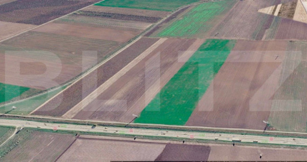 Teren extravilan 6.500 mp &ndash; zona DN11 / Varianta Ocolitoar