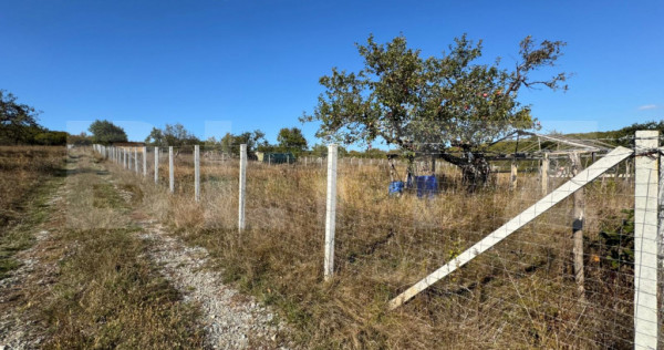 Teren extravilan, 950 mp, zona Schullerwald