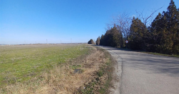 Teren Intravilan Calarasi- Cuza Voda Stradal DN3