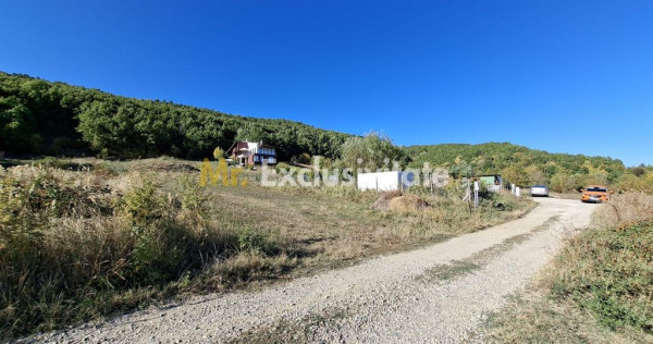 Teren 2090 mp Stefanesti-Rebreanu zona superba