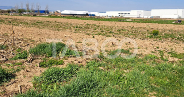 Oportunitate INVESTITIE Teren de vanzare 4166 mp ACCES FACIL