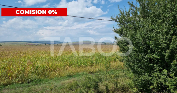 Oportunitate investitie Comision 0% 28000 mp in Sura Mica
