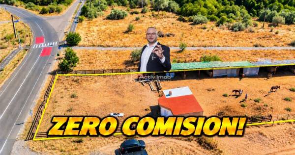 Moldova Noua | Teren 3.300 MP Afacere | ZERO COMISION