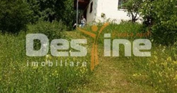 Drajna de Jos 5000 mp Teren +Casa demolabila !