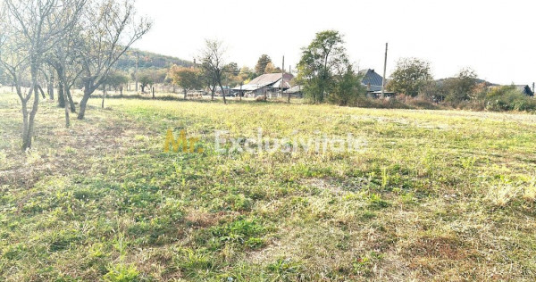 Teren intravilan &ndash; 1.135 mp, sat Crampotani, com. Merisani