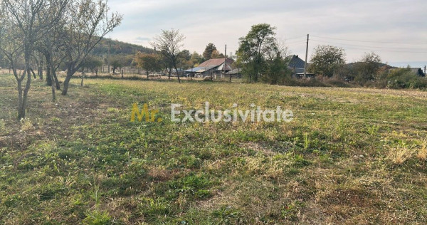 Teren intravilan &ndash; 1.135 mp, sat Crampotani, com. Merisani