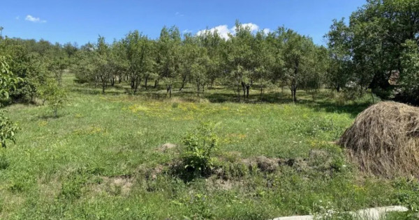Teren intravilan 2250mp la 45 km de Cluj